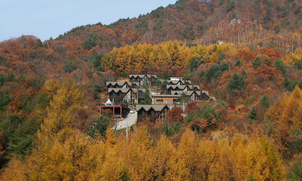Chalet Resort Пхёнчхан Экстерьер фото