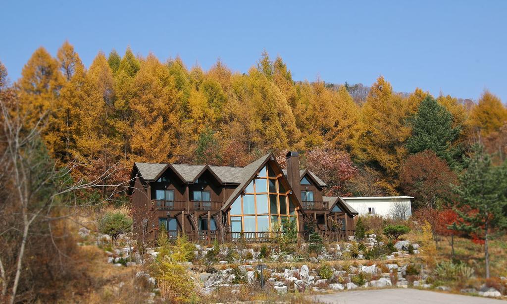Chalet Resort Пхёнчхан Экстерьер фото